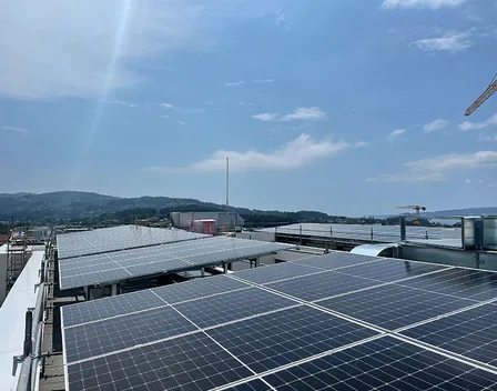 Román electricidade e automatismos Ourense – electricista en Vilar de Barrio (foto 9 de 10)